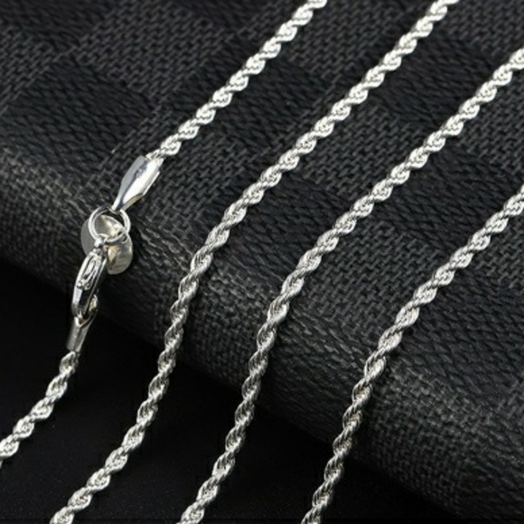 Silver Plated Fried Dough Twist Chain Necklace - Picture 7 of 7